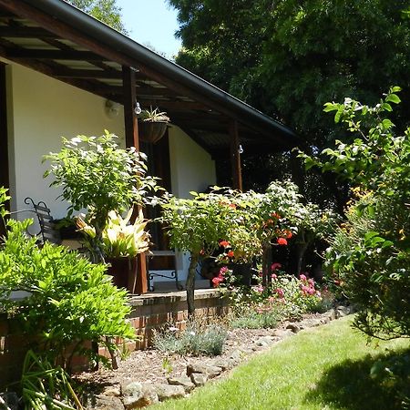 Wagners Cottages Swansea Eksteriør bilde