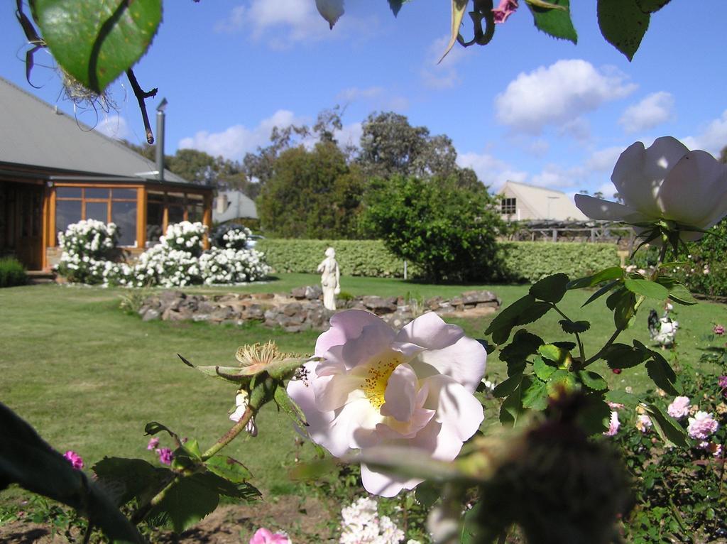 Wagners Cottages Swansea Eksteriør bilde