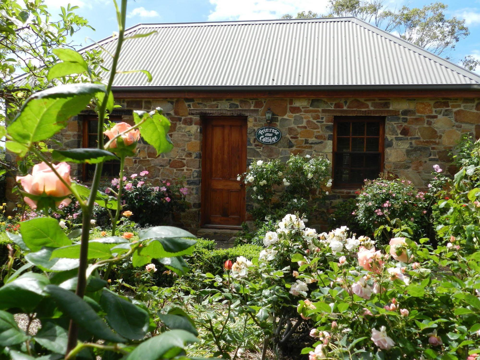 Wagners Cottages Swansea Eksteriør bilde